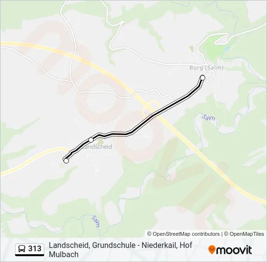 313 Bus Line Map