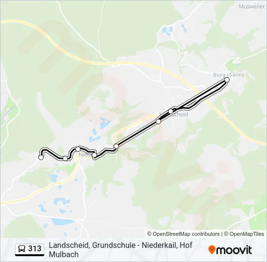 313 Bus Line Map