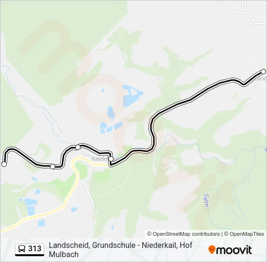 313 Bus Line Map