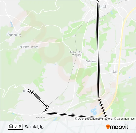 319 Bus Line Map