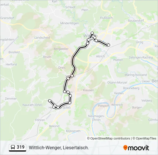 319 Bus Line Map