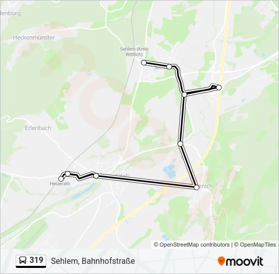 319 Bus Line Map