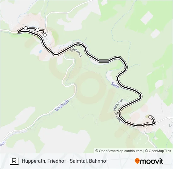 307 RUFBUS Bus Line Map