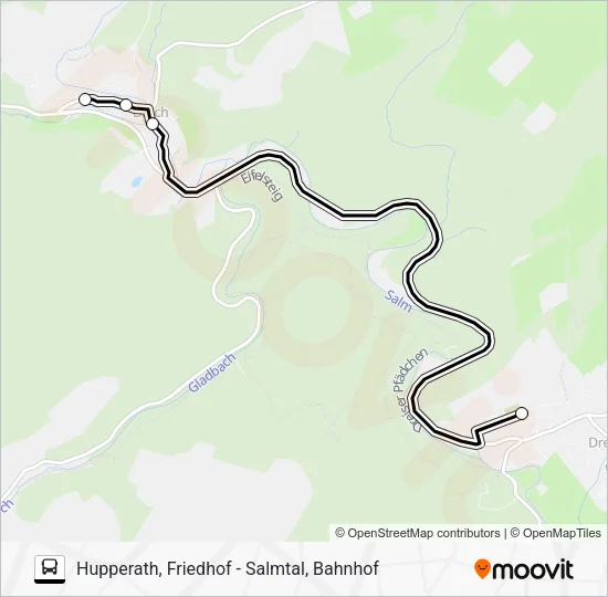 307 RUFBUS Bus Line Map