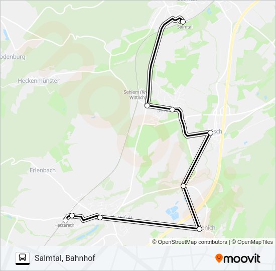 319 RUFBUS Bus Line Map