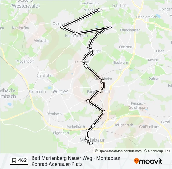 463 Bus Line Map