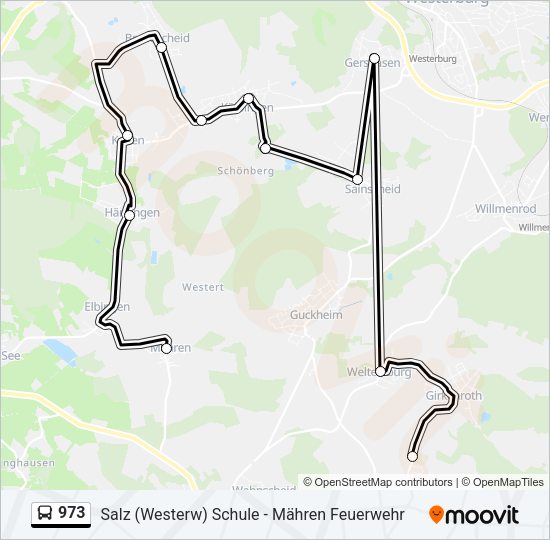 Автобус 973: карта маршрута