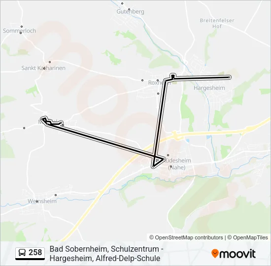 258 Bus Line Map