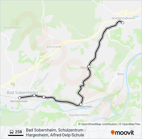 258 Bus Line Map