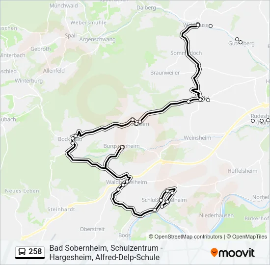 258 Bus Line Map