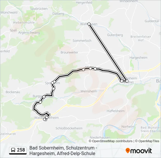 258 Bus Line Map