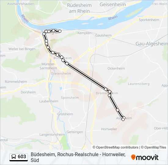 603 Bus Line Map