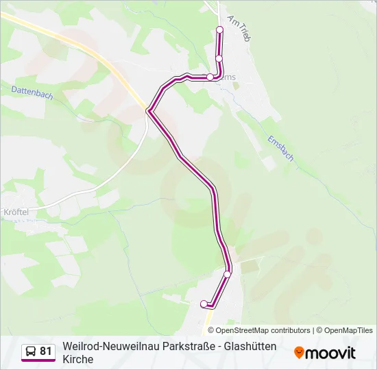 81 Bus Line Map