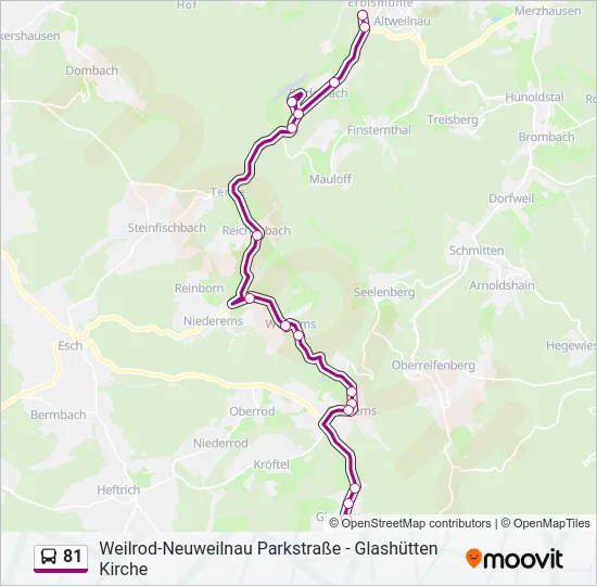 81 Bus Line Map