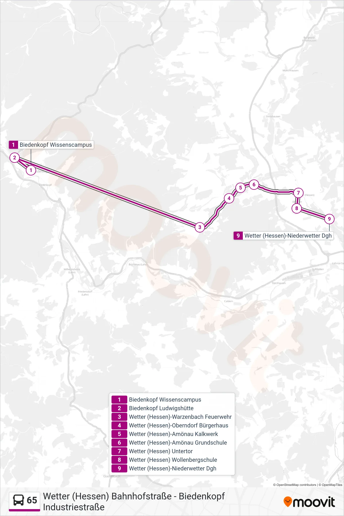 65 bus Line (Wetter (Hessen)-Niederwetter Dgh) route and stops on a map