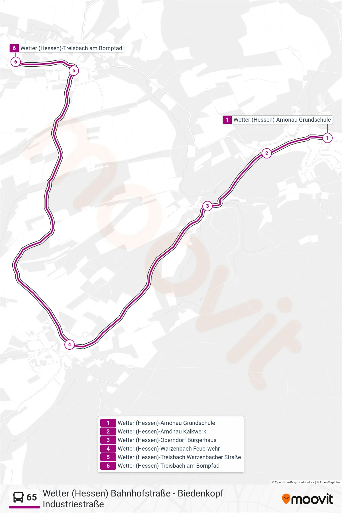 65 bus Line (Wetter (Hessen)-Treisbach am Bornpfad) route and stops on a map