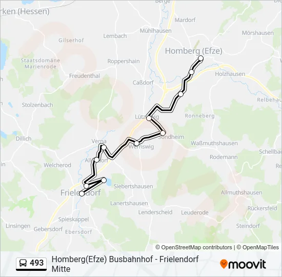 493 Bus Line Map
