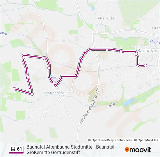 61 Bus Line Map