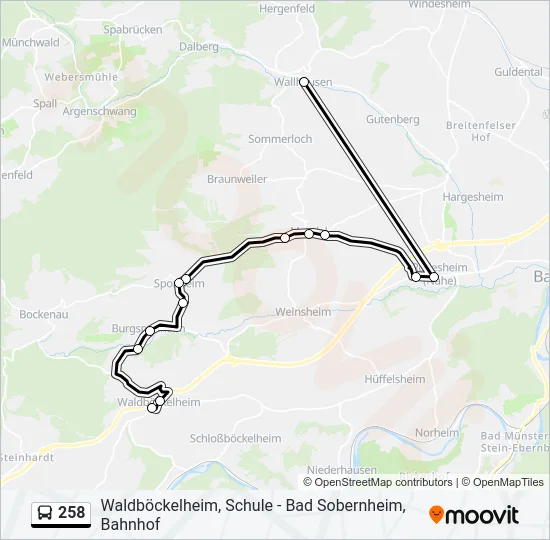 258 Bus Line Map