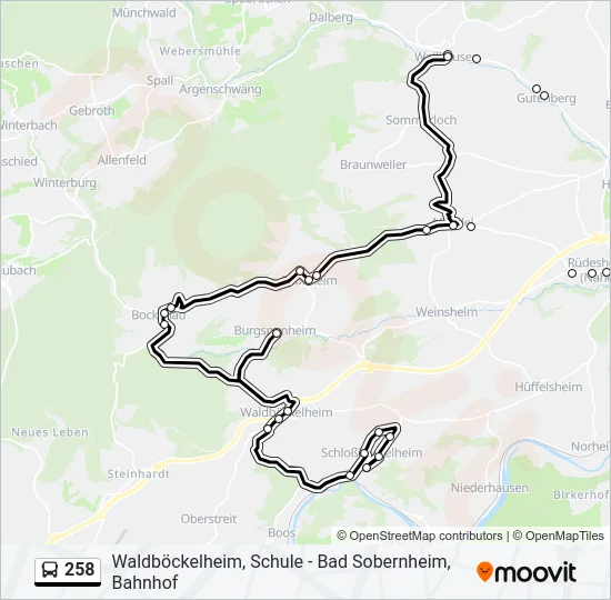 258 Bus Line Map