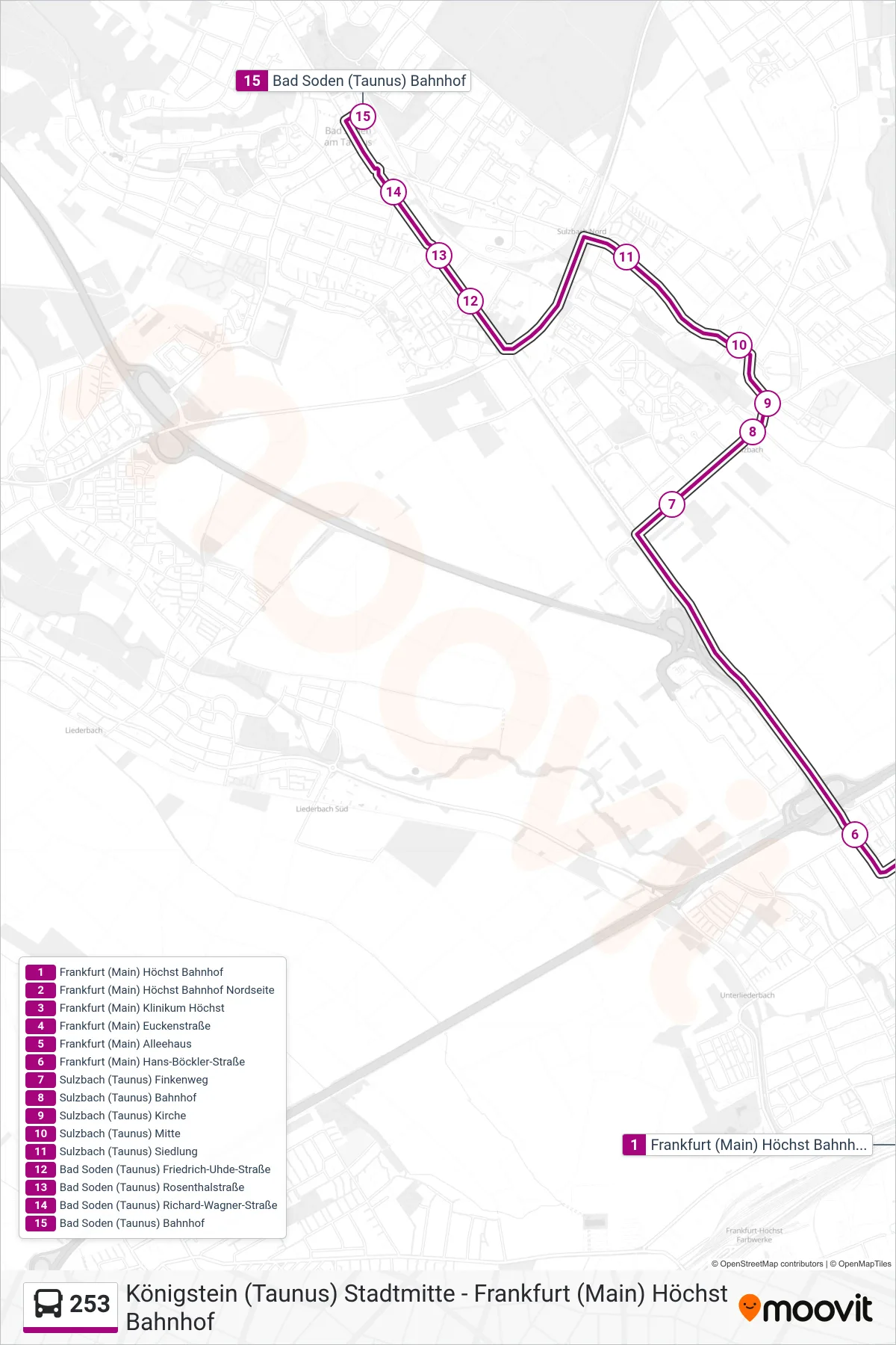 253 bus Line (Bad Soden (Taunus) Bahnhof) route and stops on a map
