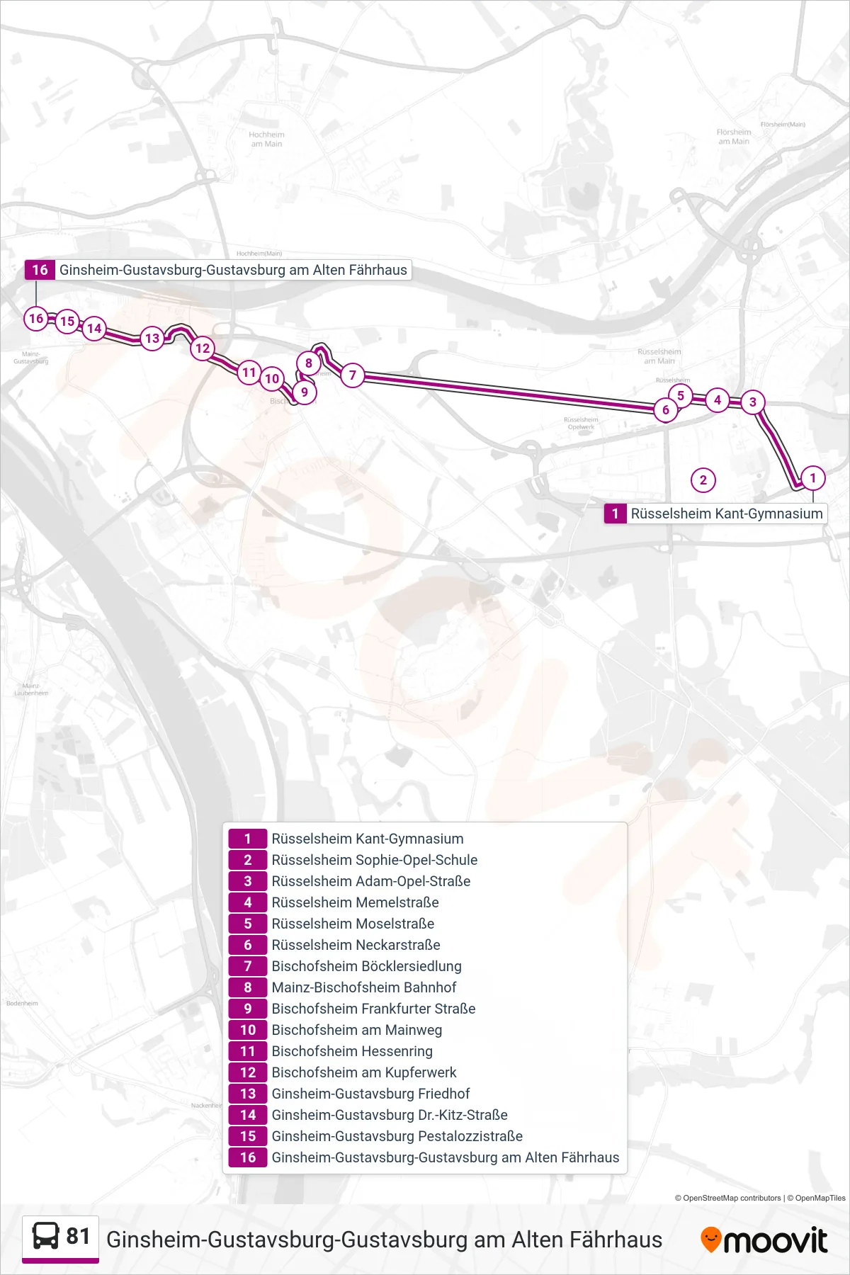 Linie 81 (Bus) Richtung Ginsheim-Gustavsburg-Gustavsburg am Alten Fährhaus: Route und Haltestellen auf der Karte