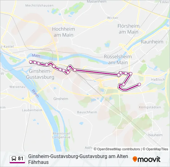 81 Bus Line Map