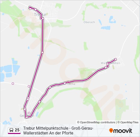 Автобус 25: карта маршрута