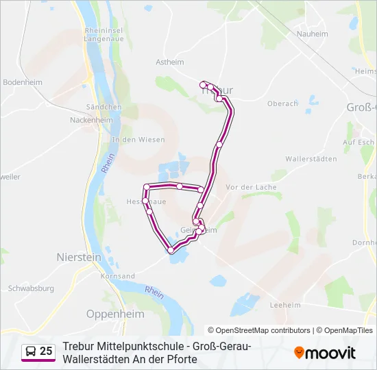25 Bus Line Map
