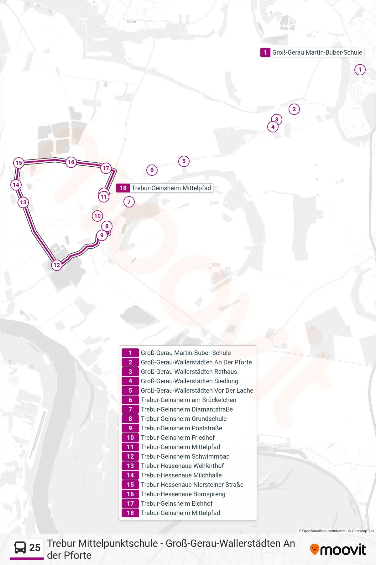 25 bus Line (Trebur-Geinsheim Mittelpfad) route and stops on a map