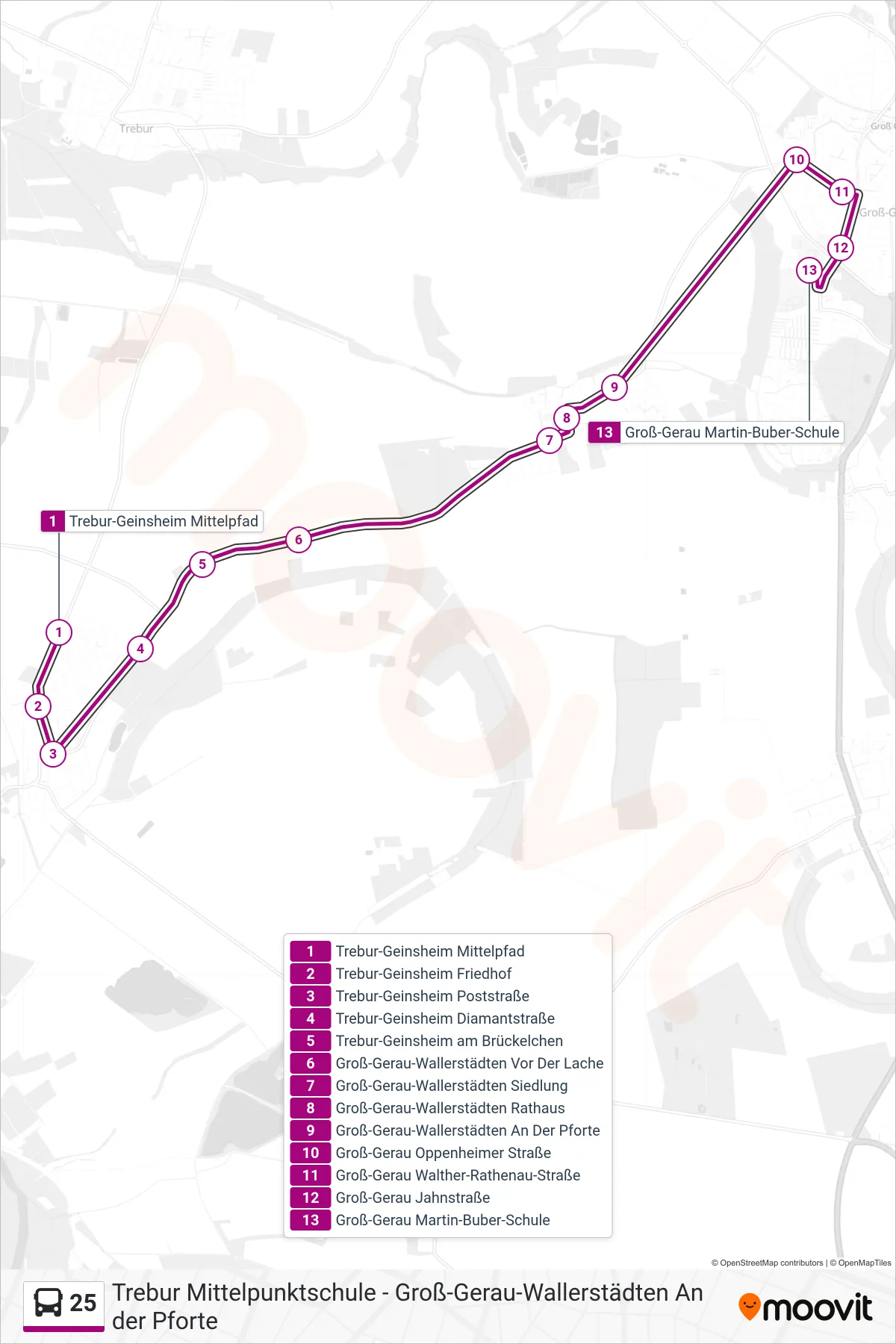 25 bus Line (Groß-Gerau Martin-Buber-Schule) route and stops on a map