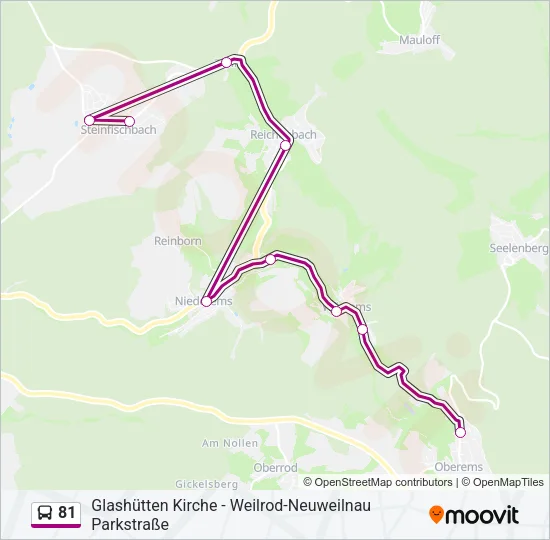81 Bus Line Map