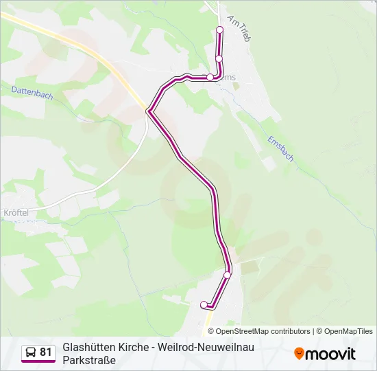 81 Bus Line Map
