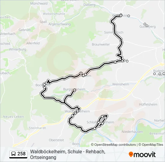 258 Bus Line Map