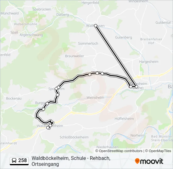 258 Bus Line Map