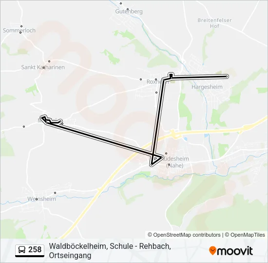 258 Bus Line Map