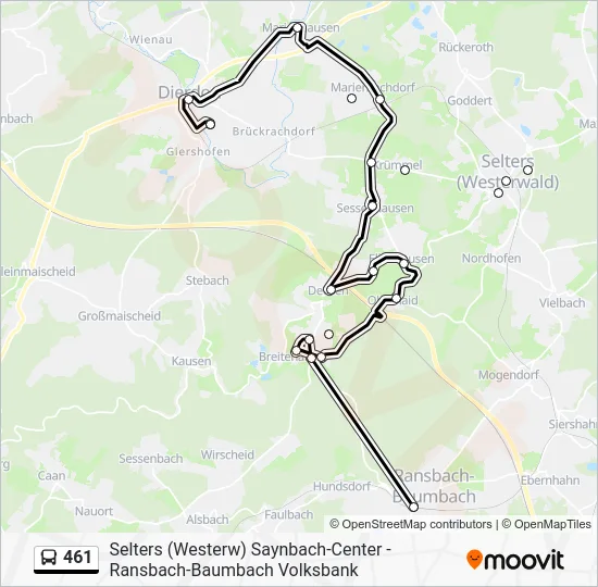 Автобус 461: карта маршрута