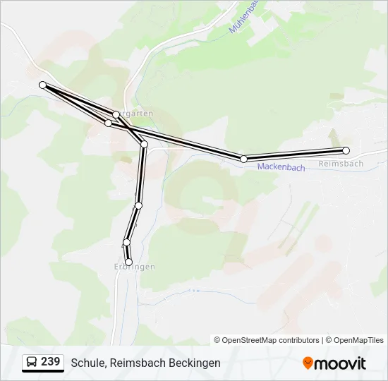 239 Bus Line Map