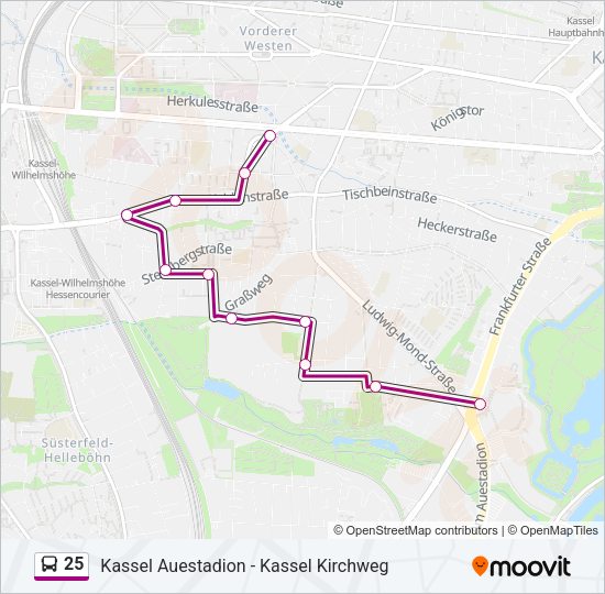 Автобус 25: карта маршрута