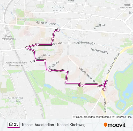 25 Bus Line Map