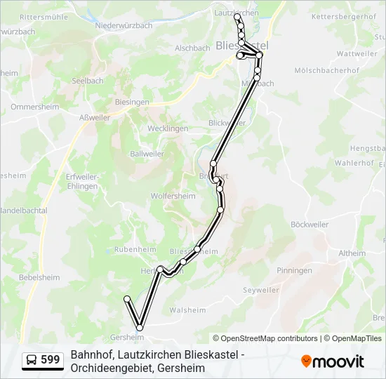 599 Bus Line Map
