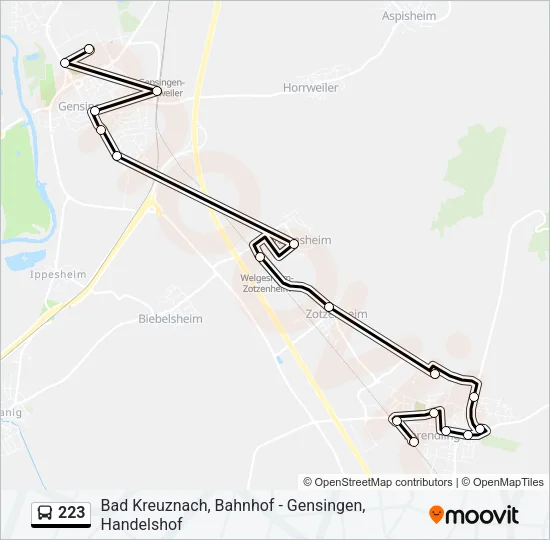 223 Bus Line Map