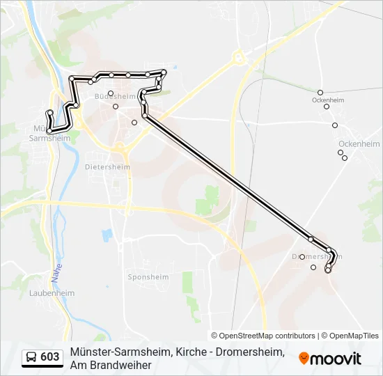 603 Bus Line Map