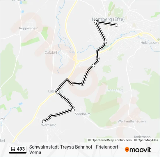 Автобус 493: карта маршрута