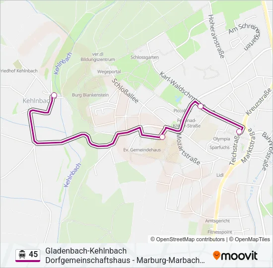 45 S-Bahn Line Map