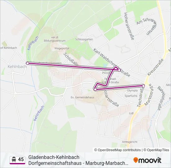 45 S-Bahn Line Map
