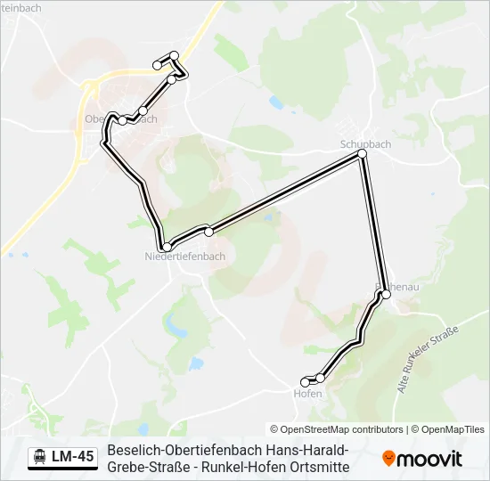 LM-45 S-Bahn Line Map