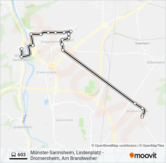 603 Bus Line Map