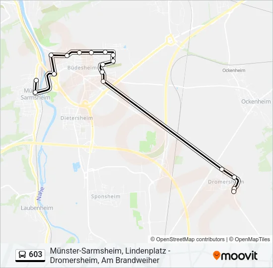 603 Bus Line Map