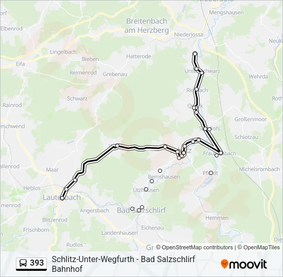 393 Bus Line Map